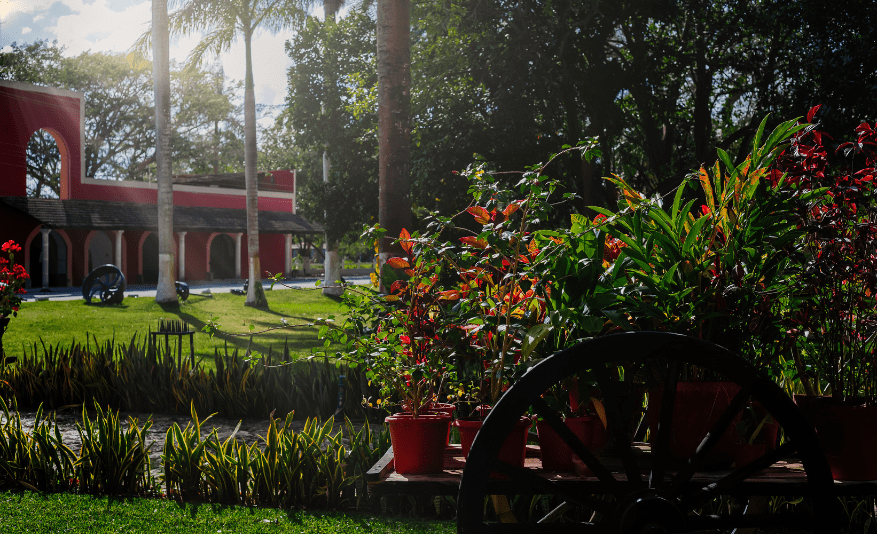 Espacios verdes Hacienda Kancabchen