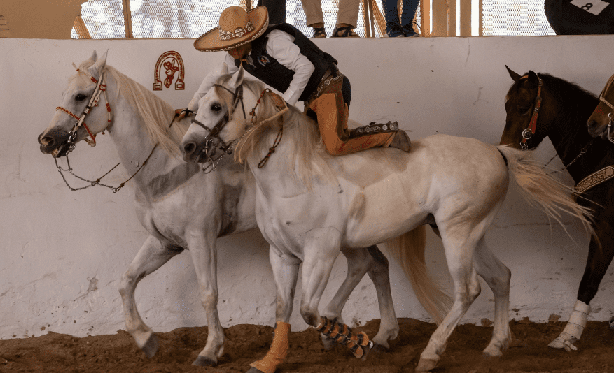 Lienzo Charro Hacienda Kan